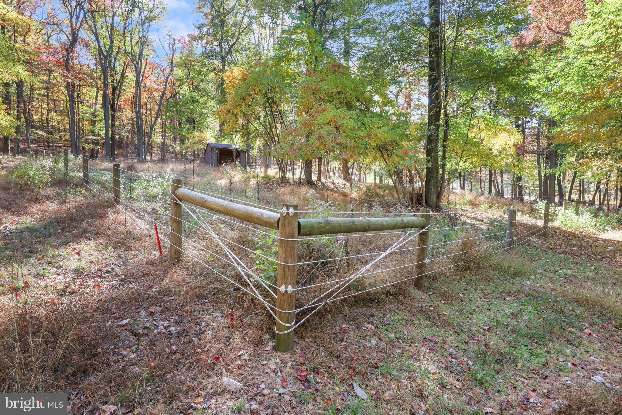 165 Chain Saw Road Dillsburg, PA 17019 - Photo 54 of 76 Gallery Image 54