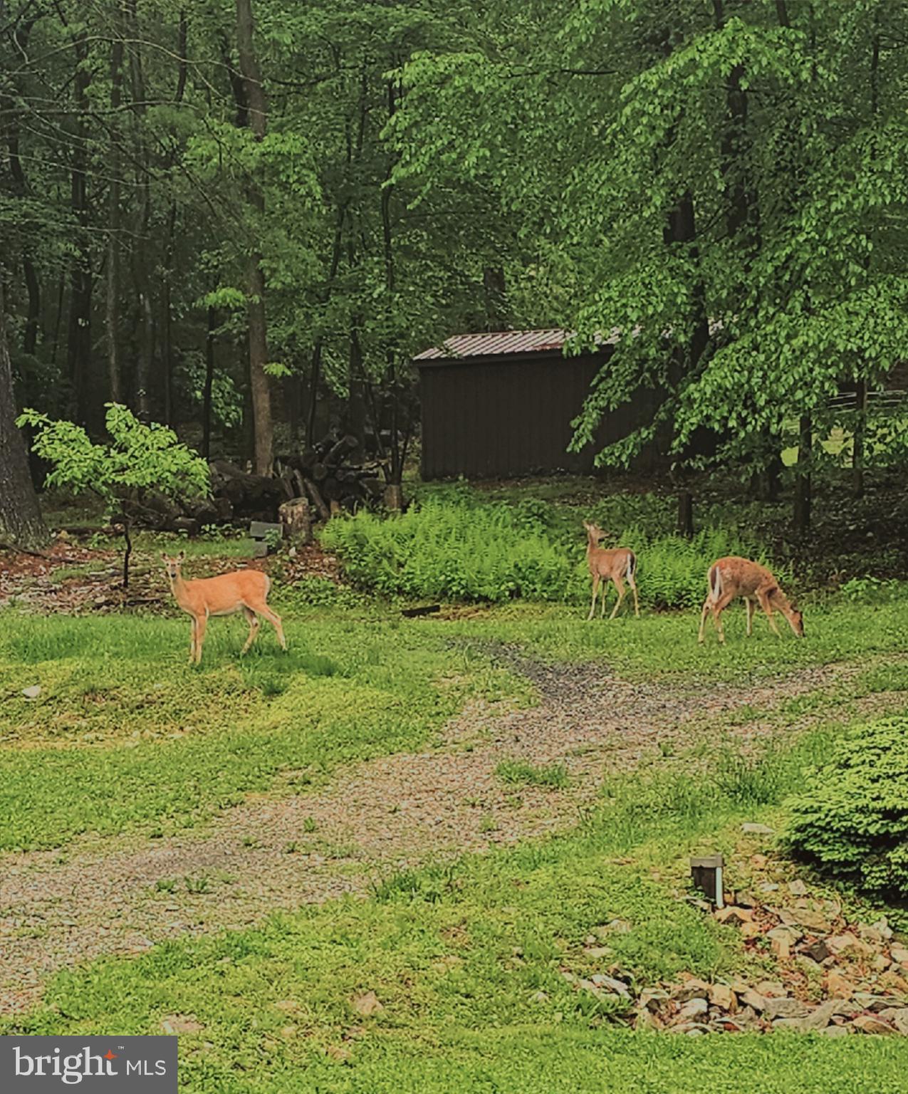 165 Chain Saw Road Dillsburg, PA 17019 - Photo 63 of 76 Gallery Image 63