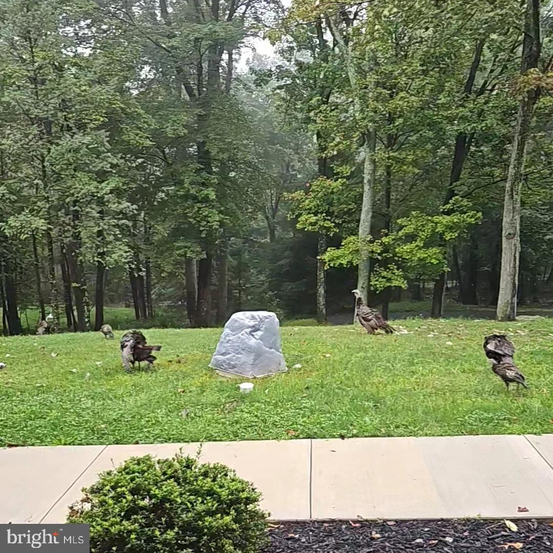 165 Chain Saw Road Dillsburg, PA 17019 - Photo 64 of 76 Gallery Image 64