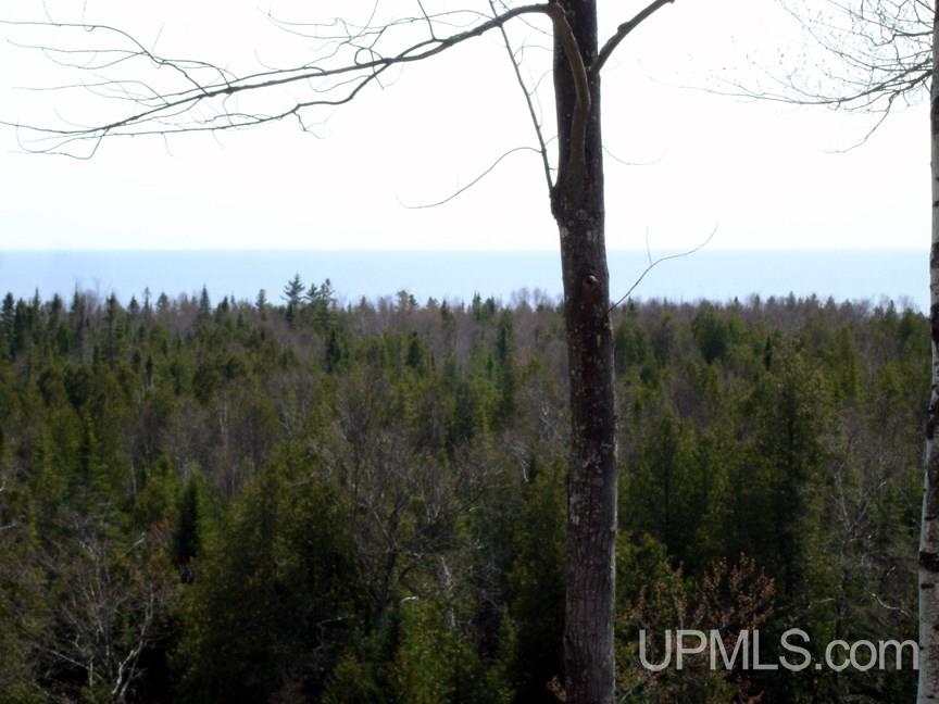 Tbd Northshore Bluffs Road, Unit 3 Manistique, MI 49854 - Photo 12 of 22
