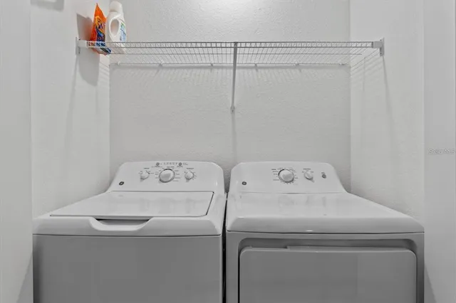 a view of a park with large trees