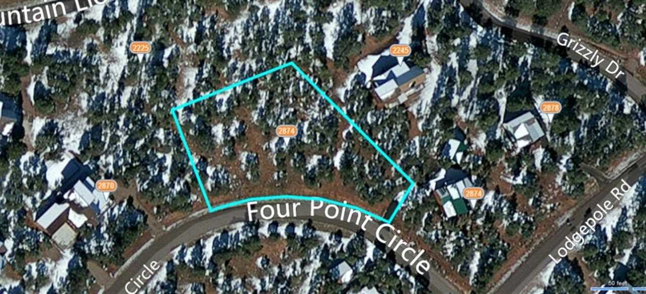 2874 4 Point Circle Overgaard, AZ 85933 - Photo 1 of 11