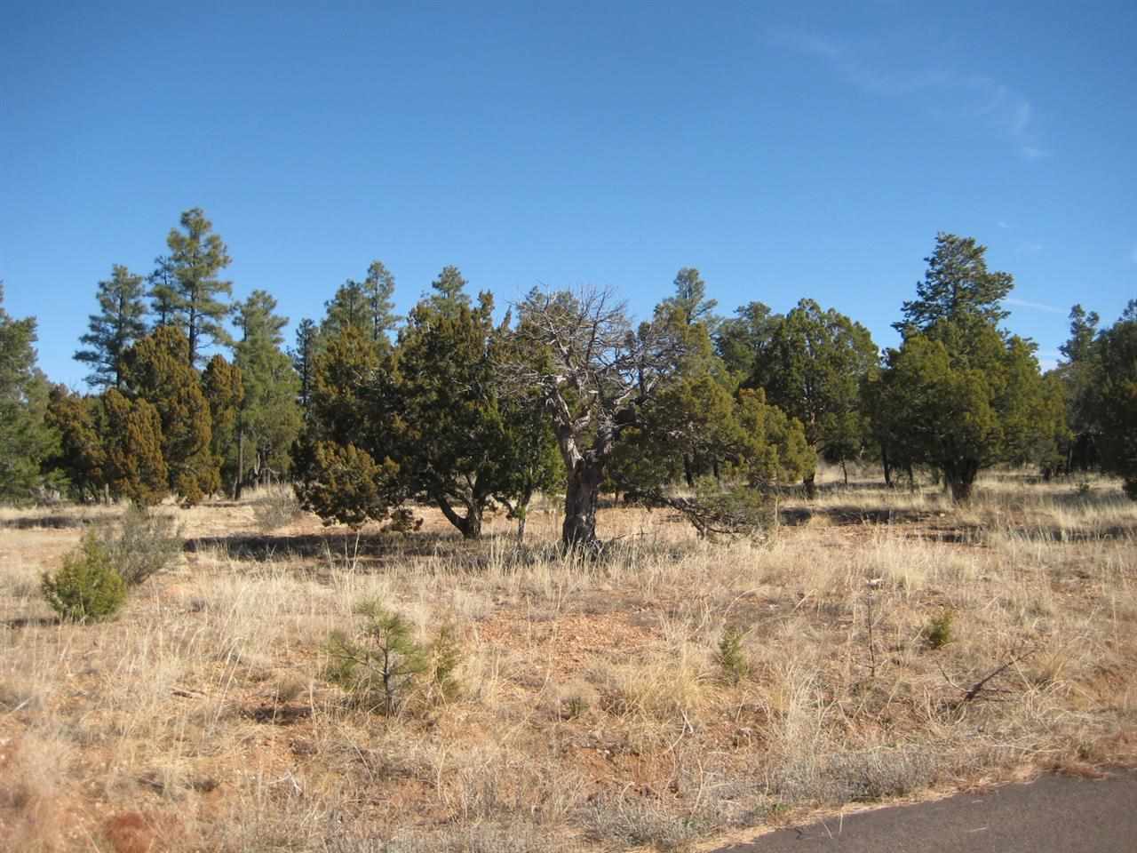 2874 4 Point Circle Overgaard, AZ 85933 - Photo 2 of 11