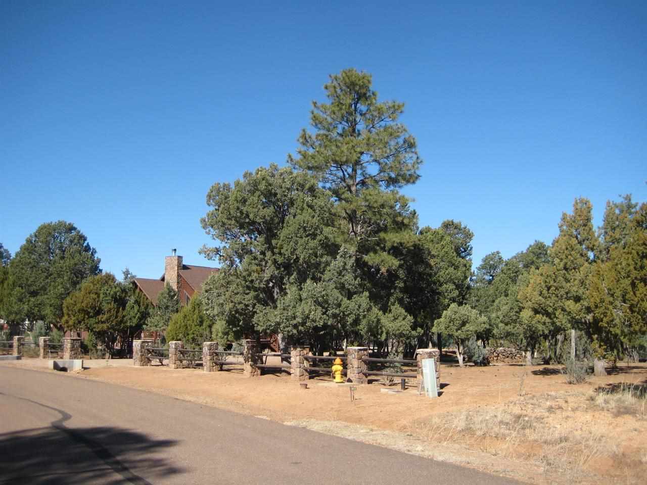 2874 4 Point Circle Overgaard, AZ 85933 - Photo 3 of 11