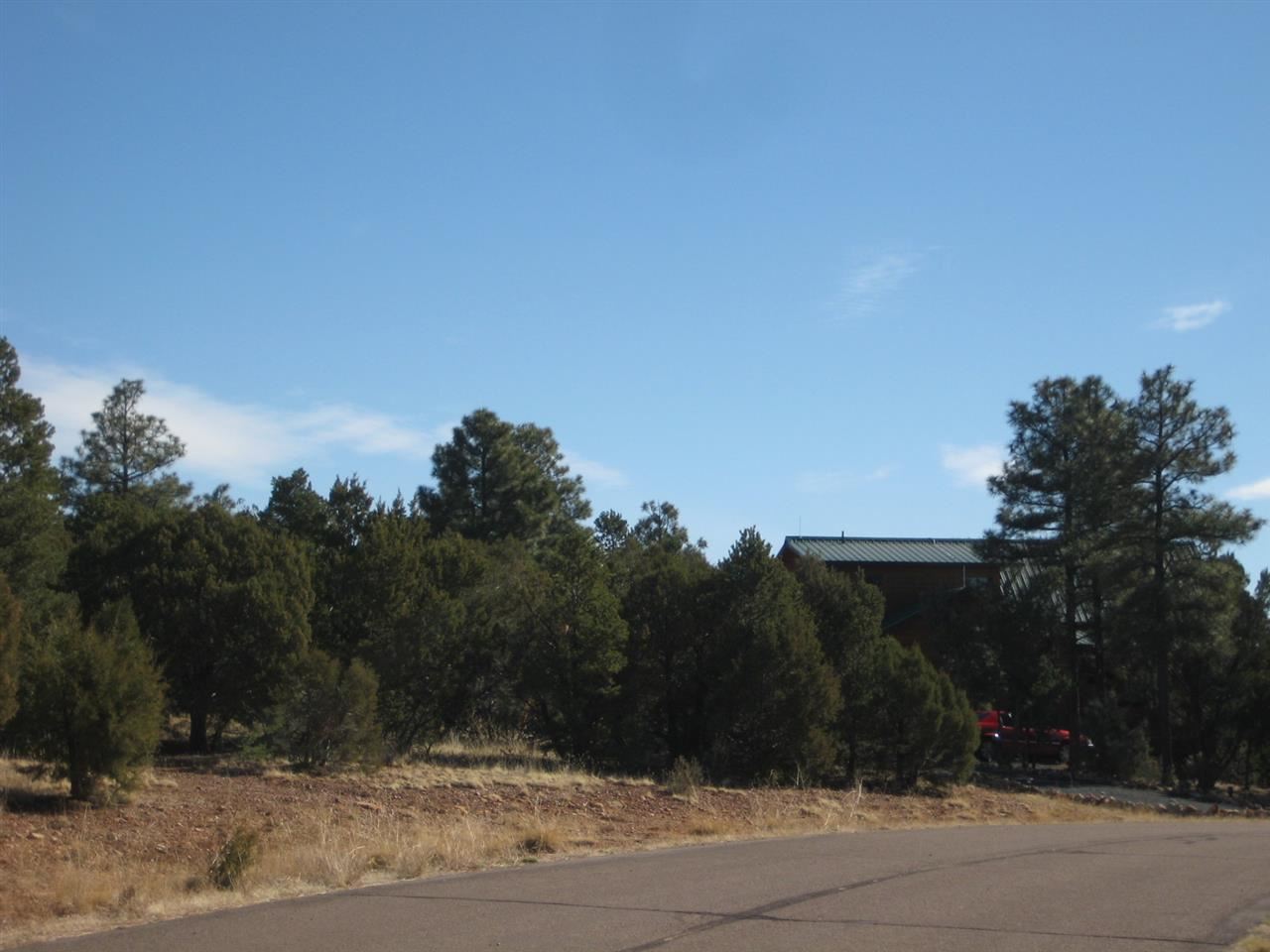 2874 4 Point Circle Overgaard, AZ 85933 - Photo 4 of 11
