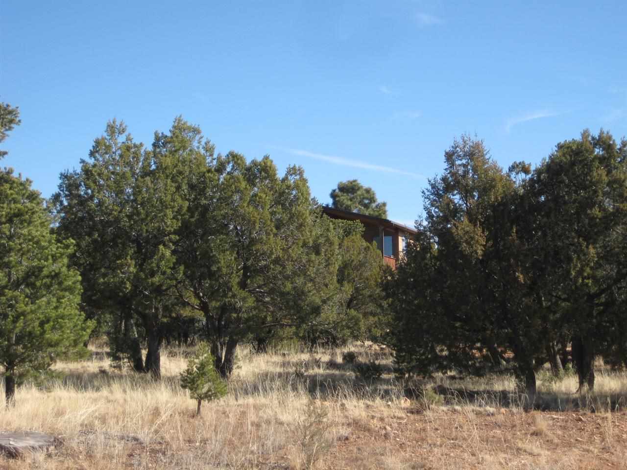 2874 4 Point Circle Overgaard, AZ 85933 - Photo 5 of 11