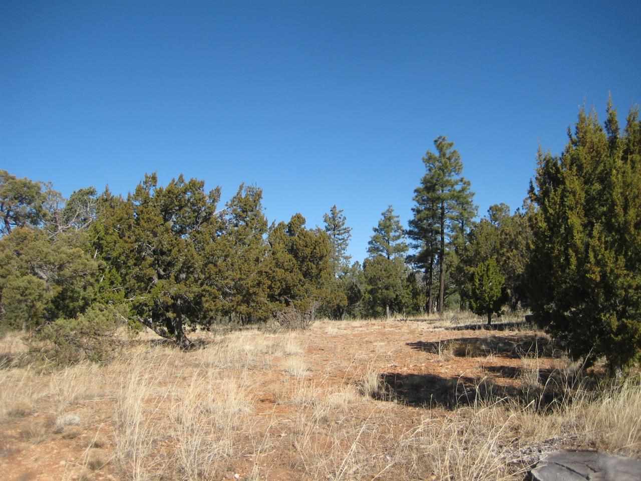 2874 4 Point Circle Overgaard, AZ 85933 - Photo 8 of 11