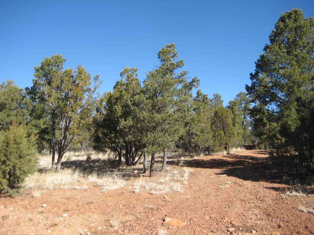 2874 4 Point Circle Overgaard, AZ 85933 - Photo 9 of 11