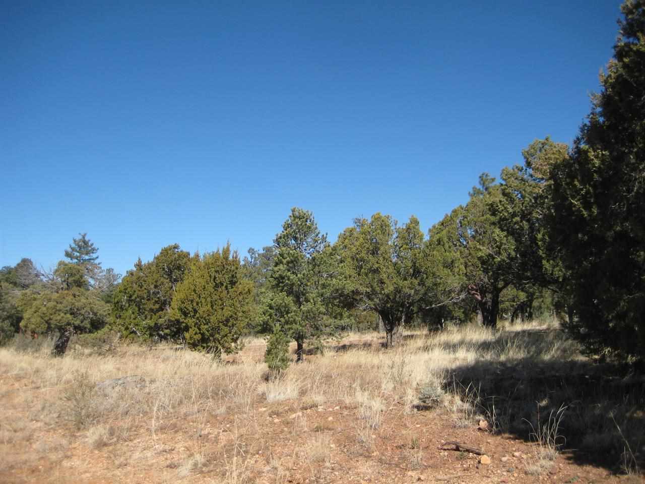2874 4 Point Circle Overgaard, AZ 85933 - Photo 10 of 11