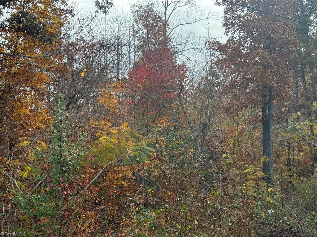 1688 Turner Road Lexington, NC 27292 - Photo 1 of 1 Turner Main