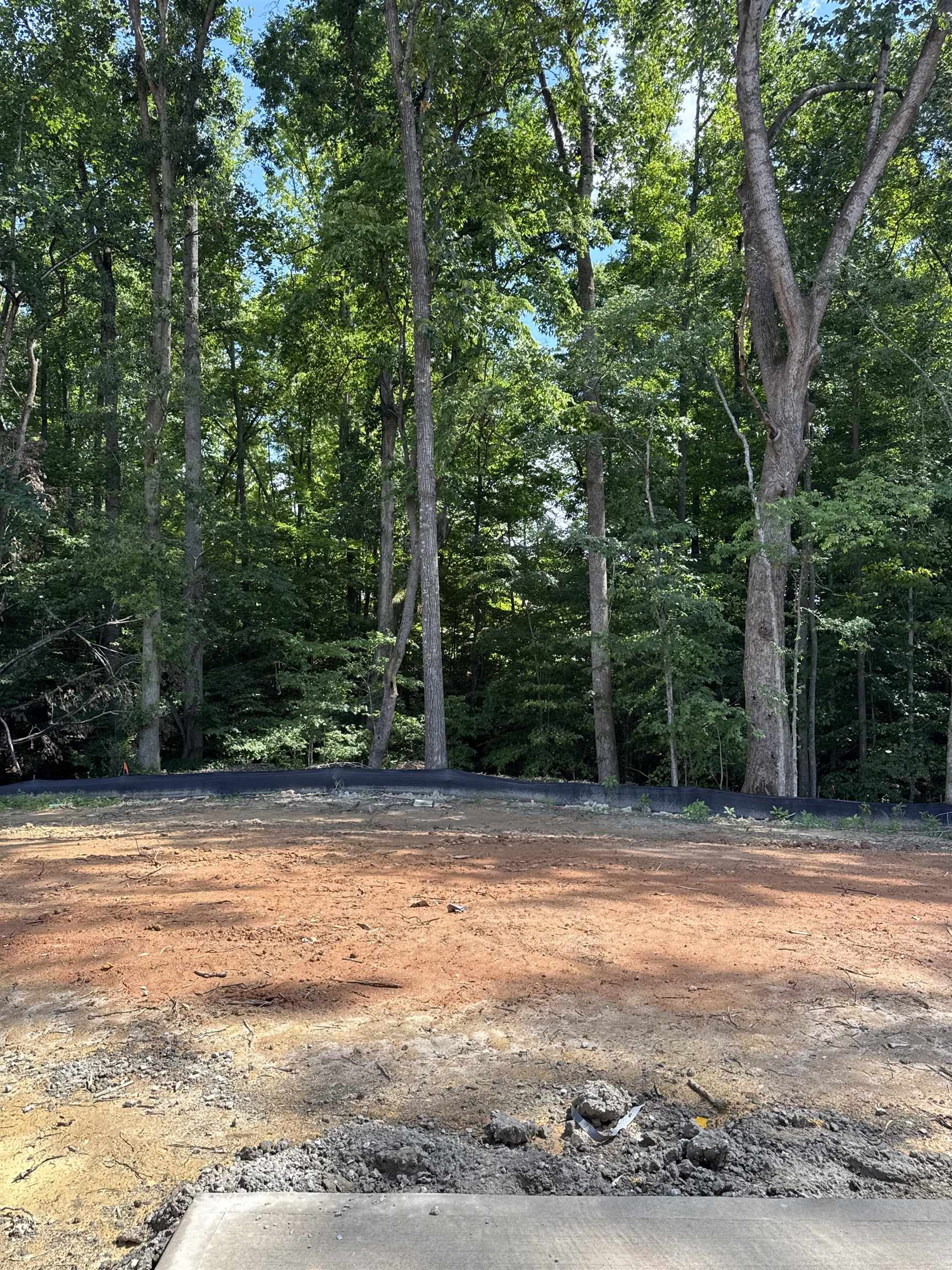 527 Poole Street Woodruff, SC 29388 - Photo 5 of 10