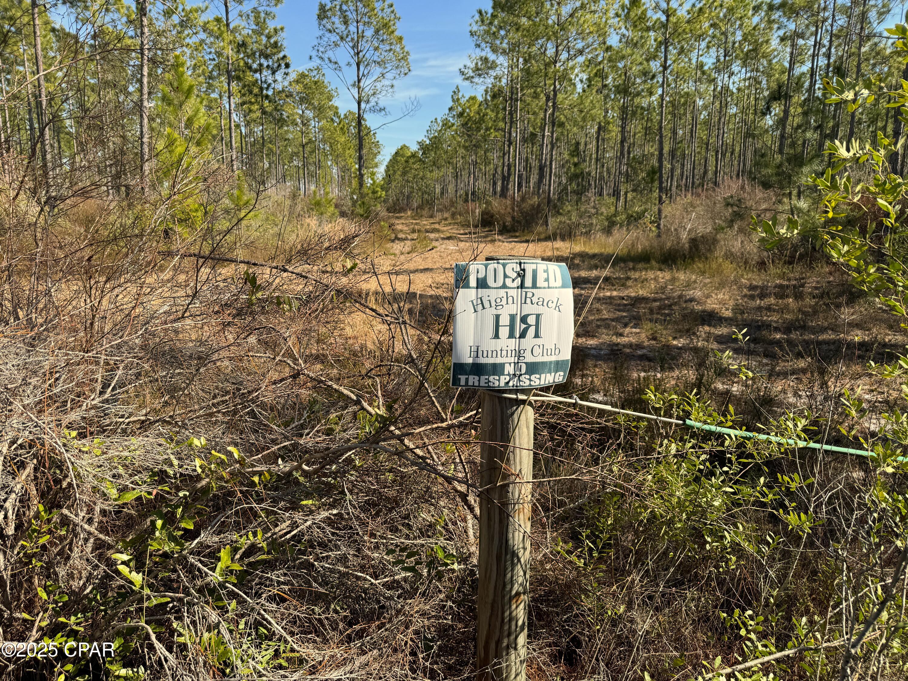6157 Martin Sewell Road Altha, FL 32421 - Photo 31 of 37 Gallery Image 31