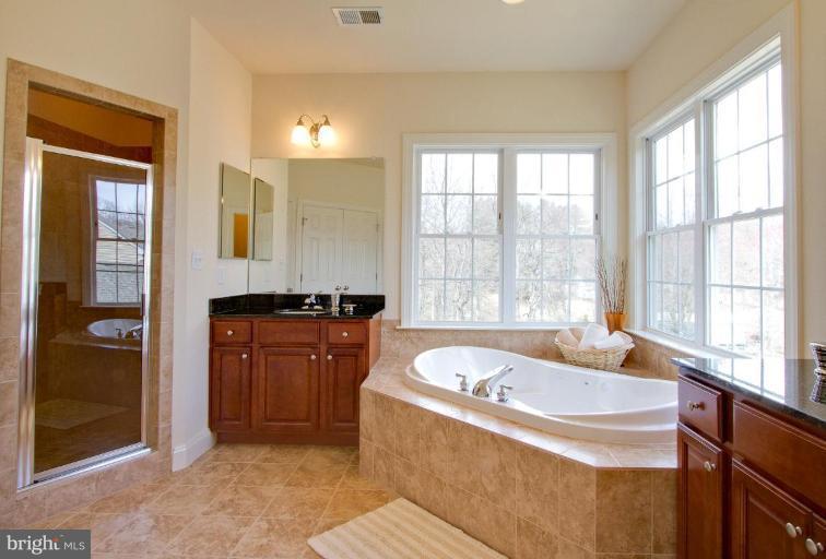 5832 Trotter Road Clarksville, MD 21029 - Photo 8 of 18 Master Bath #2