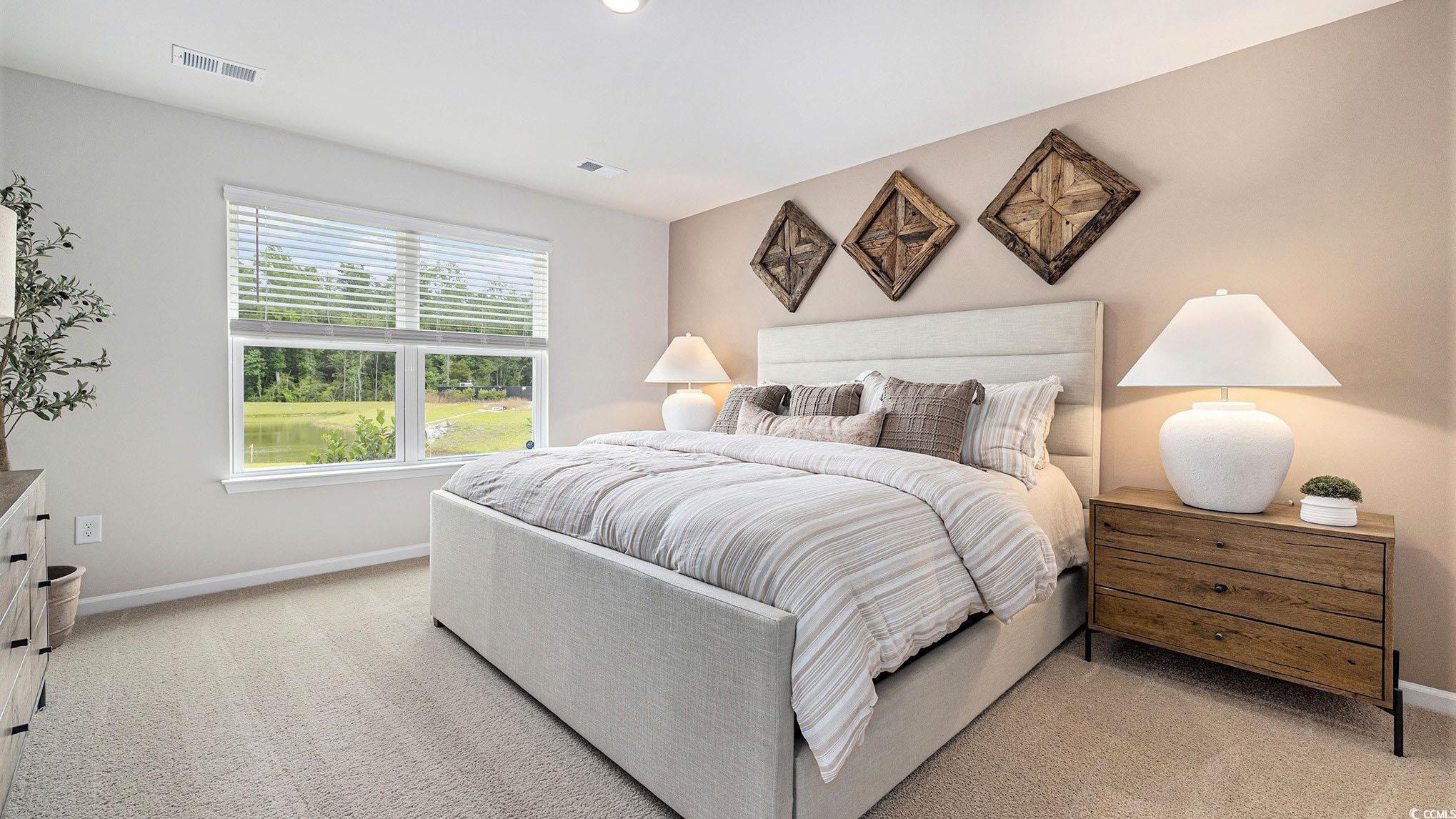 214 Dagger Court Myrtle Beach, SC 29588 - Photo 14 of 22