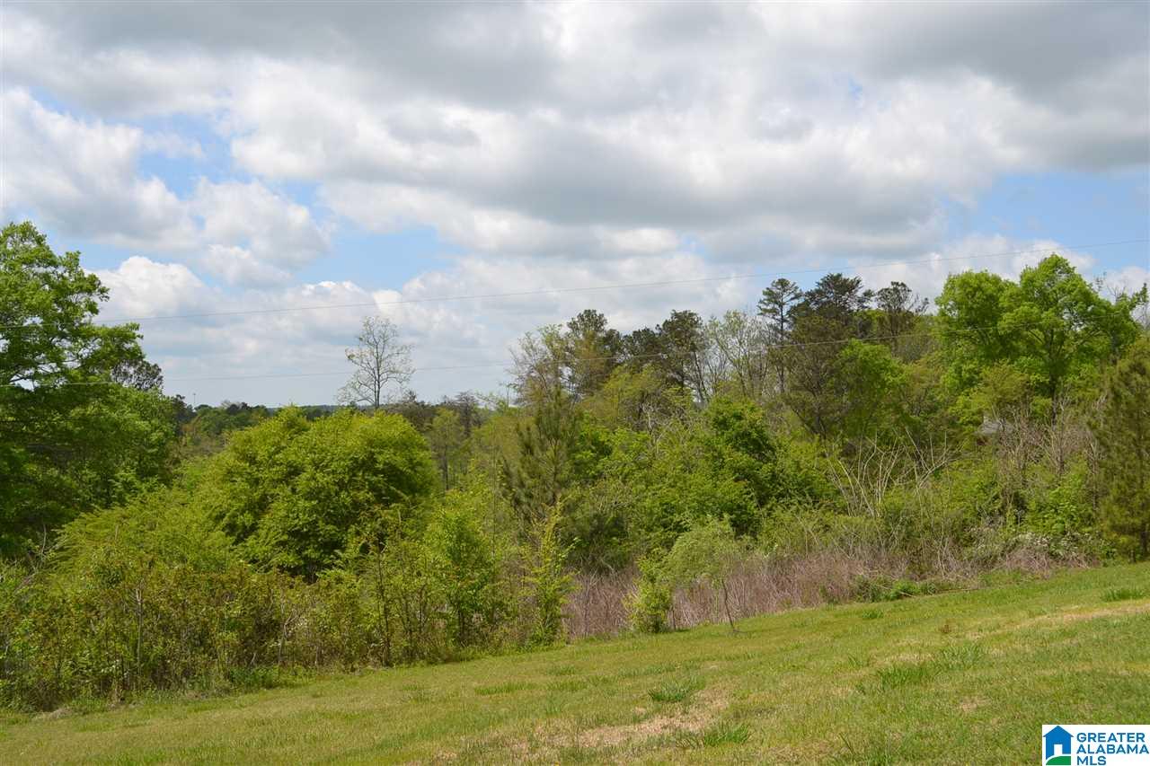 4385 Ebell Road Oneonta, AL 35121 - Photo 10 of 12 Gallery Image 10