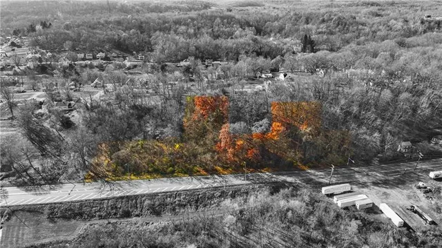 a view of a dry yard with large trees
