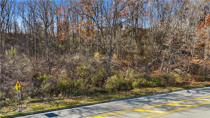 0 Smith Township State Road Burgettstown, PA 15021 - Photo 13 of 24 a view of a yard with large trees