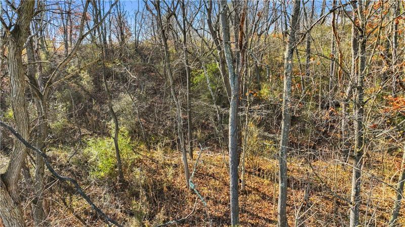 0 Smith Township State Road Burgettstown, PA 15021 - Photo 14 of 24 a view of a forest
