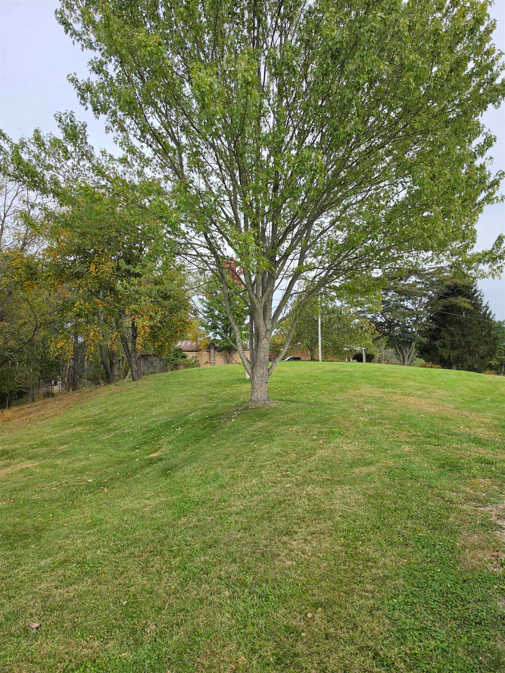 845 Northwest Horse Ridge Road Northwest Willis, VA 24380 - Photo 20 of 24 Gallery Image 20