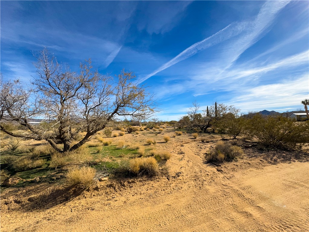 10210 Boulder Road Kingman, AZ 86401 - Photo 19 of 30 View of nature