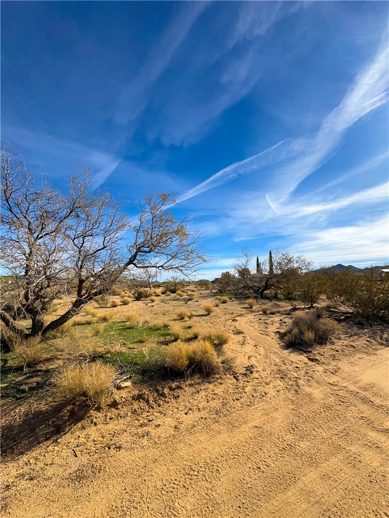 10210 Boulder Road Kingman, AZ 86401 - Photo 20 of 30 View of nature