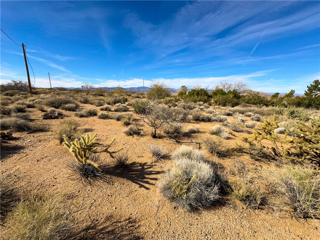 10210 Boulder Road Kingman, AZ 86401 - Photo 21 of 30 View of undeveloped land featuring a desert landscape