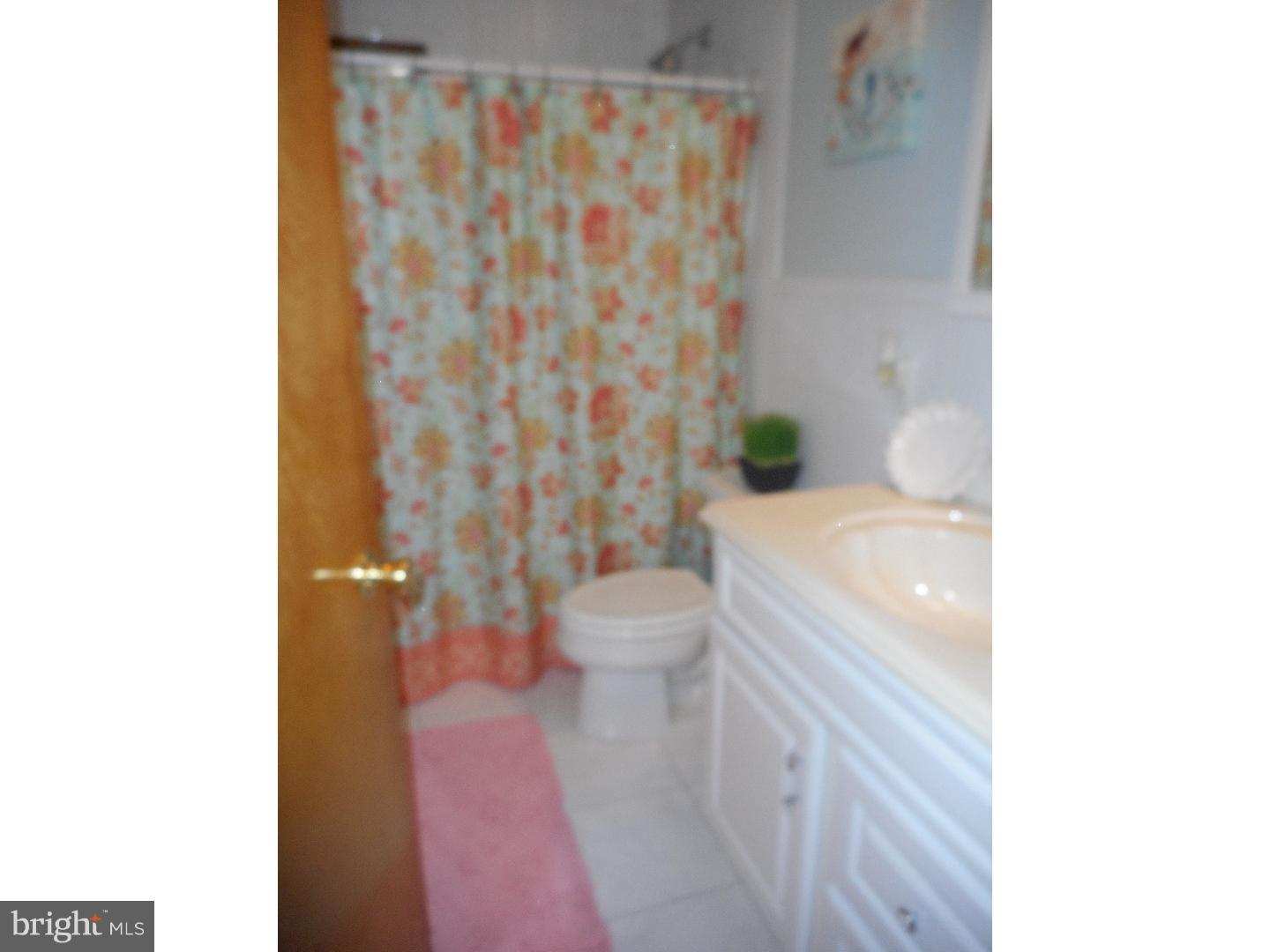 903 Scotia Road Philadelphia, PA 19128 - Photo 8 of 22