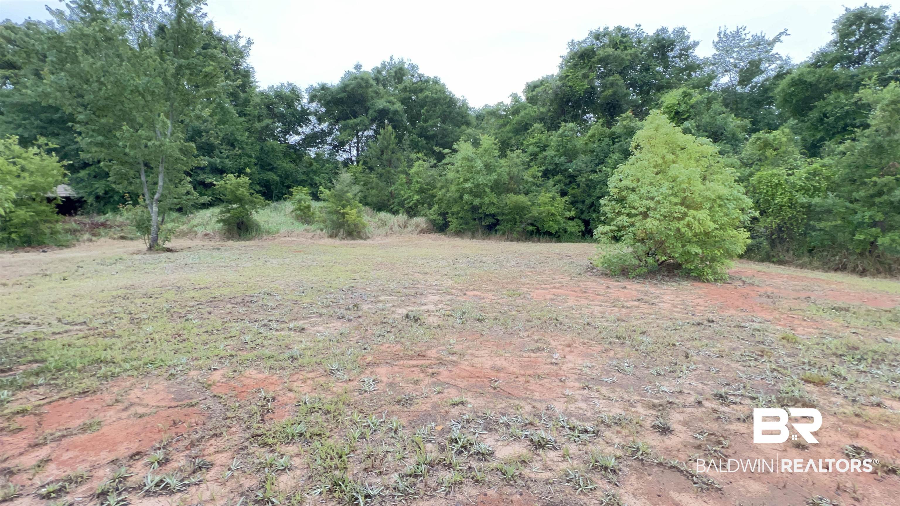 8579 Silver Maple Drive Mobile, AL 36619 - Photo 4 of 9