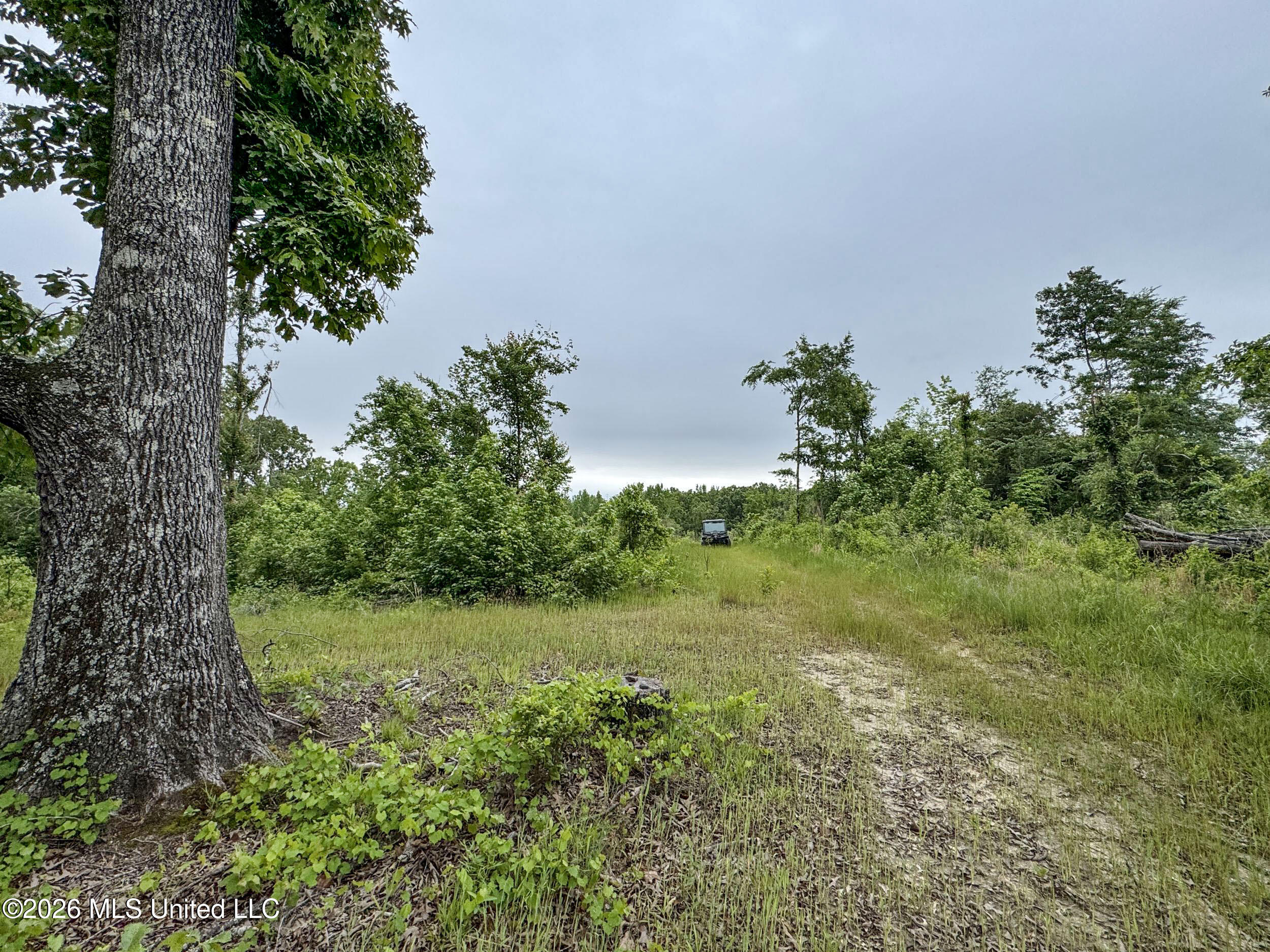 Wayne Massie Road Como, MS 38619 - Photo 90 of 184 5cdtbs21