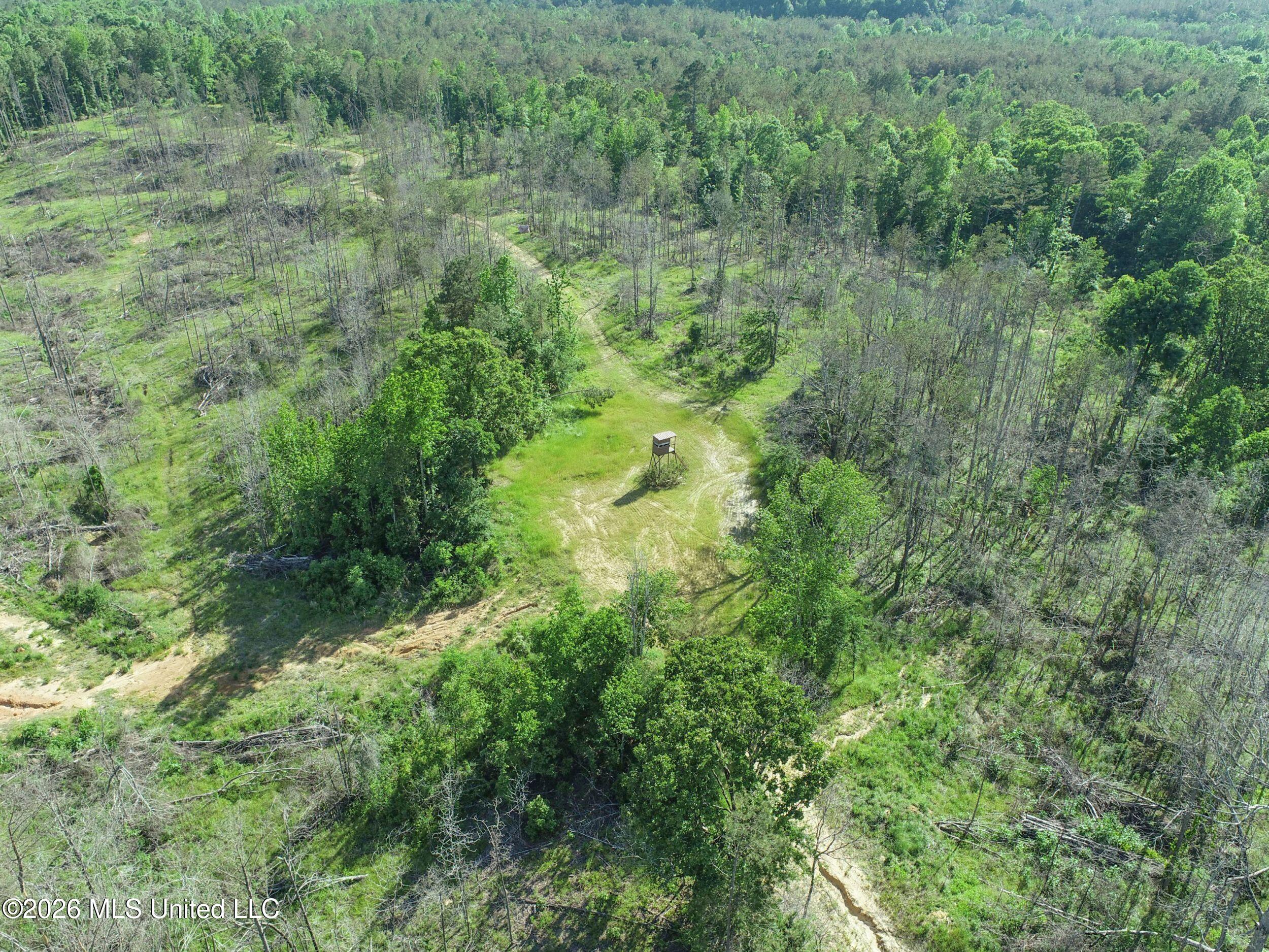 Wayne Massie Road Como, MS 38619 - Photo 1 of 184 3ctwmrd17