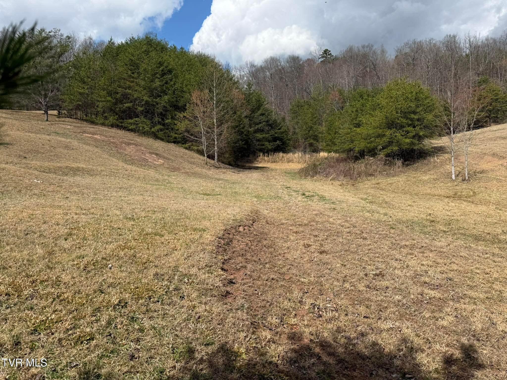 0 Dyer Hollow Road, Unit 3 Mohawk, TN 37810 - Photo 10 of 11 bfaa57287aa1efdc1121ee854b8ebe6b