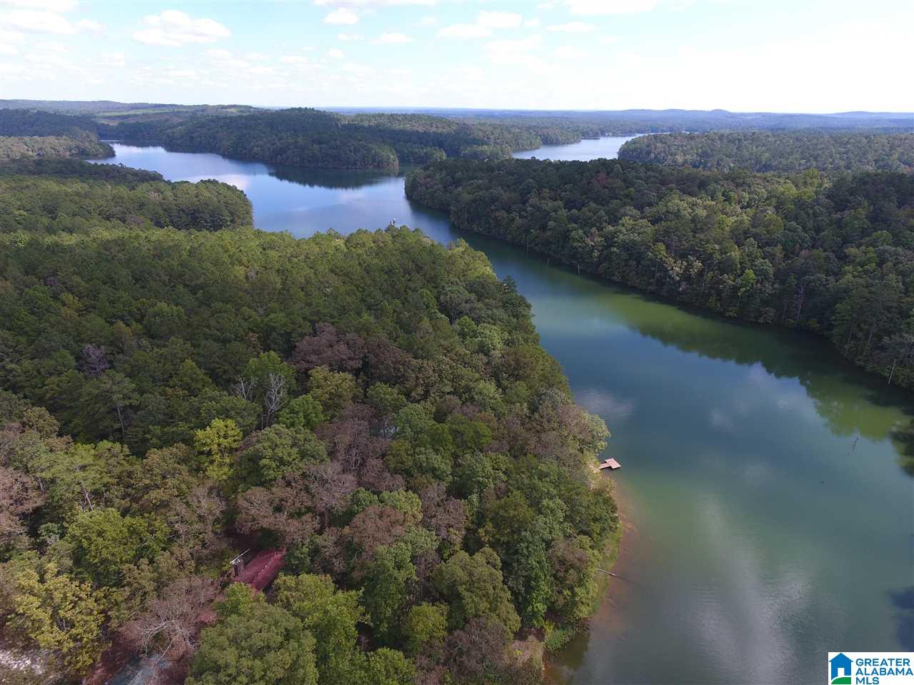 100 Fox Run Lineville, AL 36266 - Photo 29 of 30