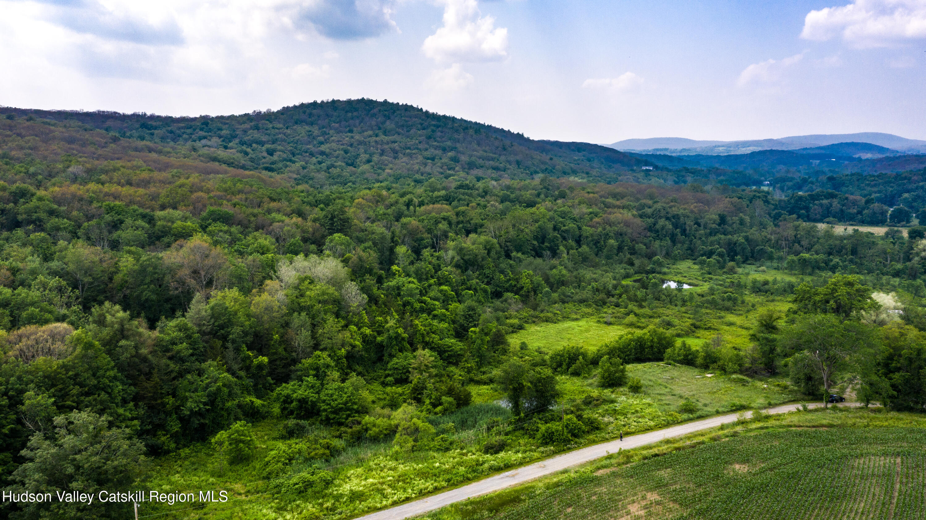 70-98 Ryan Road Pine Plains, NY 12567 - Photo 18 of 22 a view of a lush green hillside and a houses