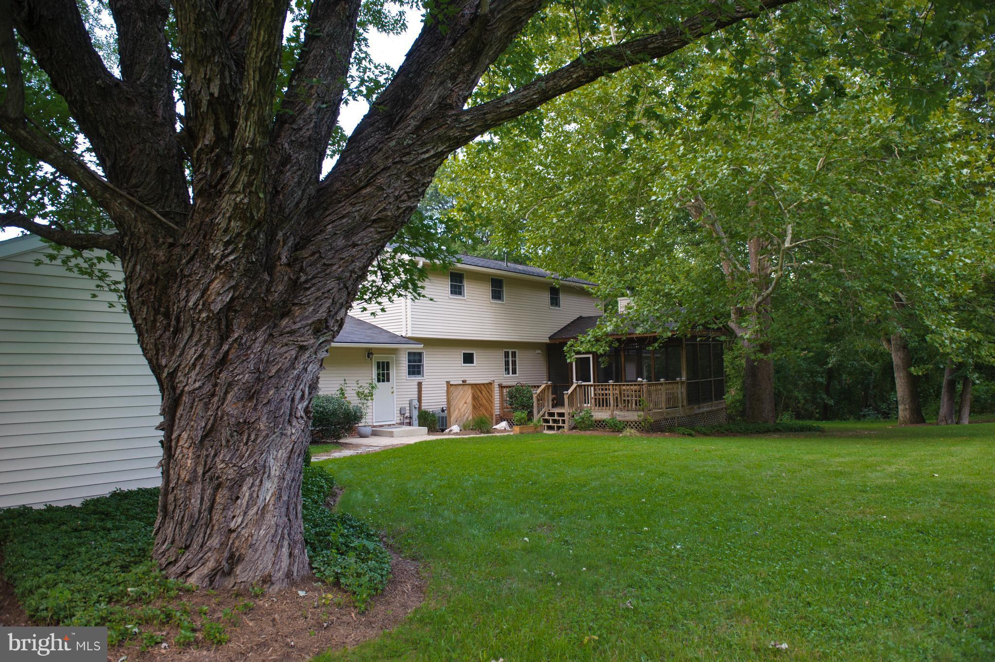 957 St George Barber Road Davidsonville, MD 21035 - Photo 28 of 30 Mature Trees