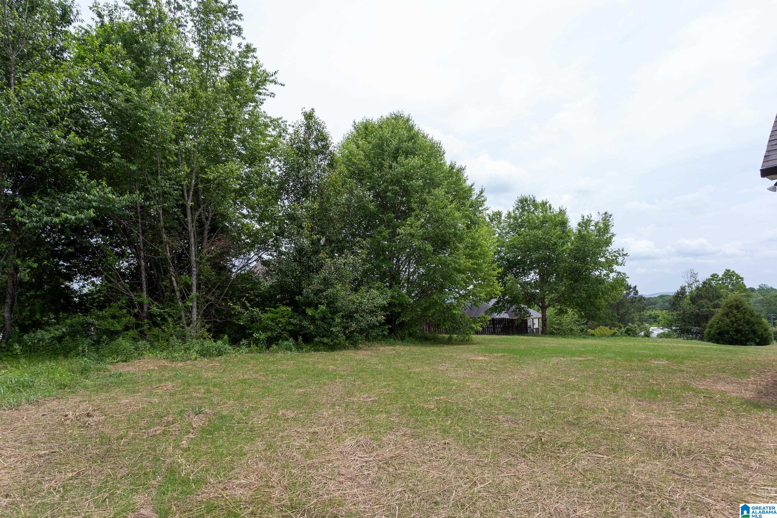 265 Cottage Court Springville, AL 35146 - Photo 35 of 38