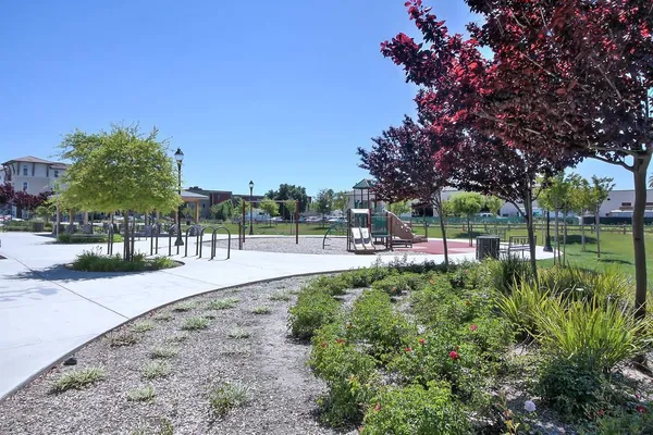a view of a garden with a bench