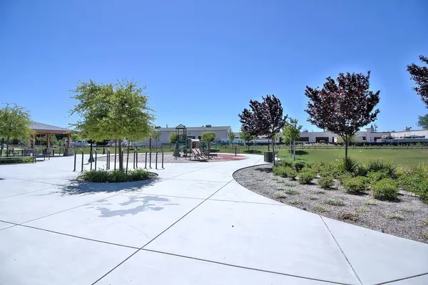 a view of a park with a trees