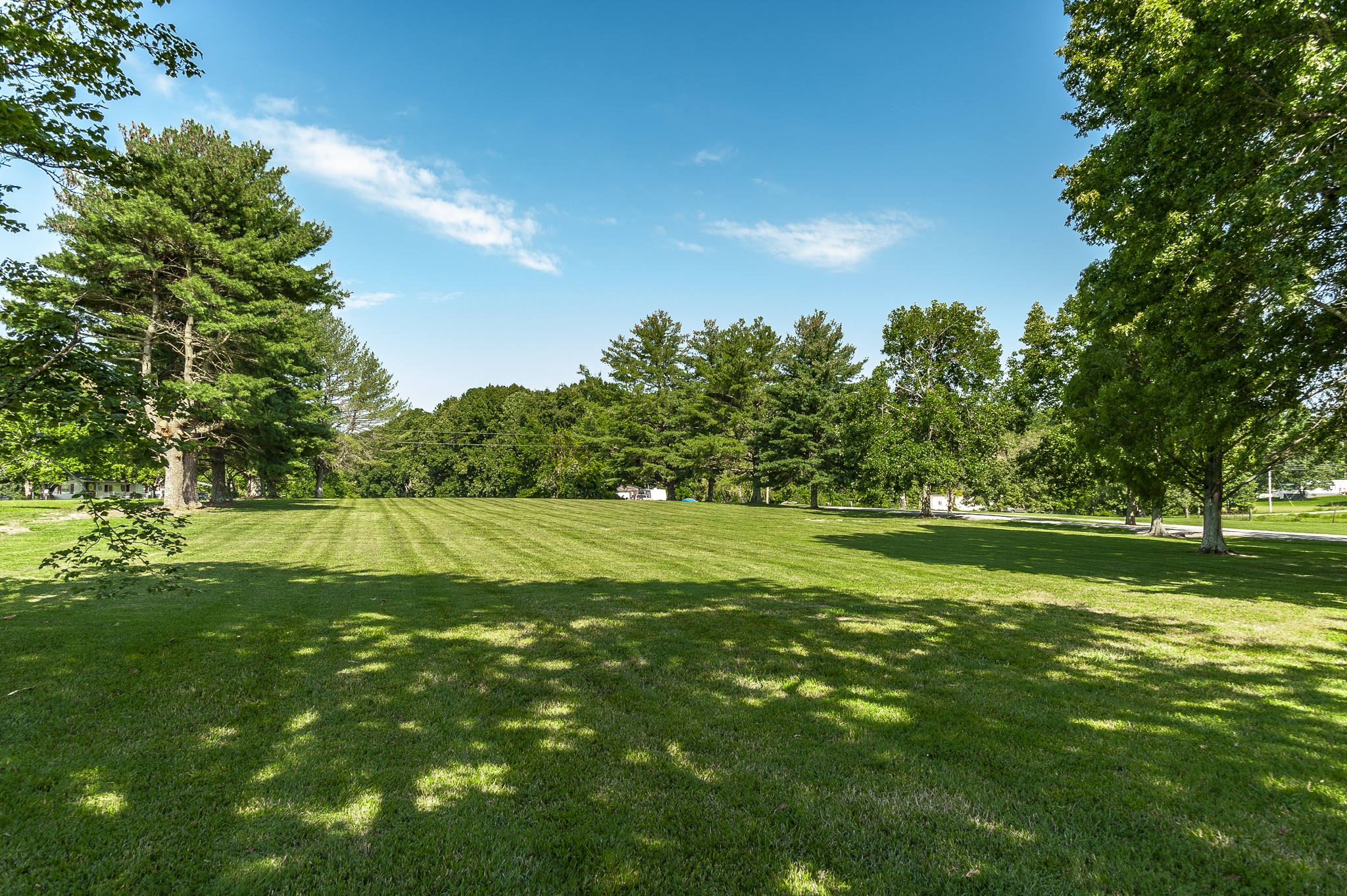 6379 Williams Road Cross Plains, TN 37049 - Photo 8 of 63 Gallery Image 8