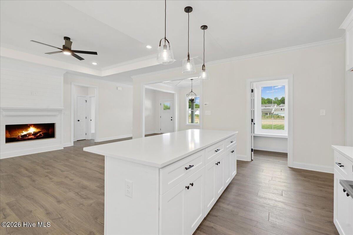 1859 South Big Woods Road Spring Hope, NC 27882 - Photo 10 of 35