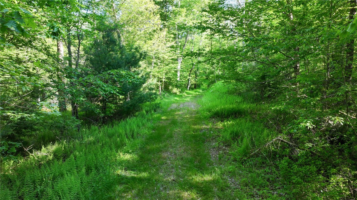 0 Barbs Hill Road Greene, RI 02827 - Photo 11 of 22 Gallery Image 11