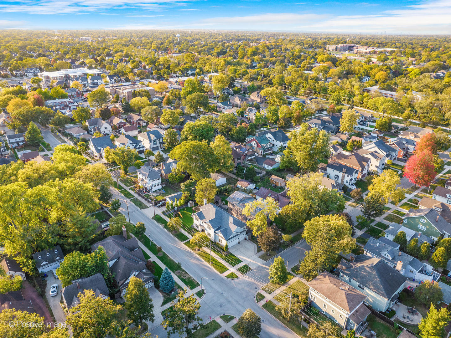 566 Mitchell Avenue Elmhurst, IL 60126 - Photo 43 of 46