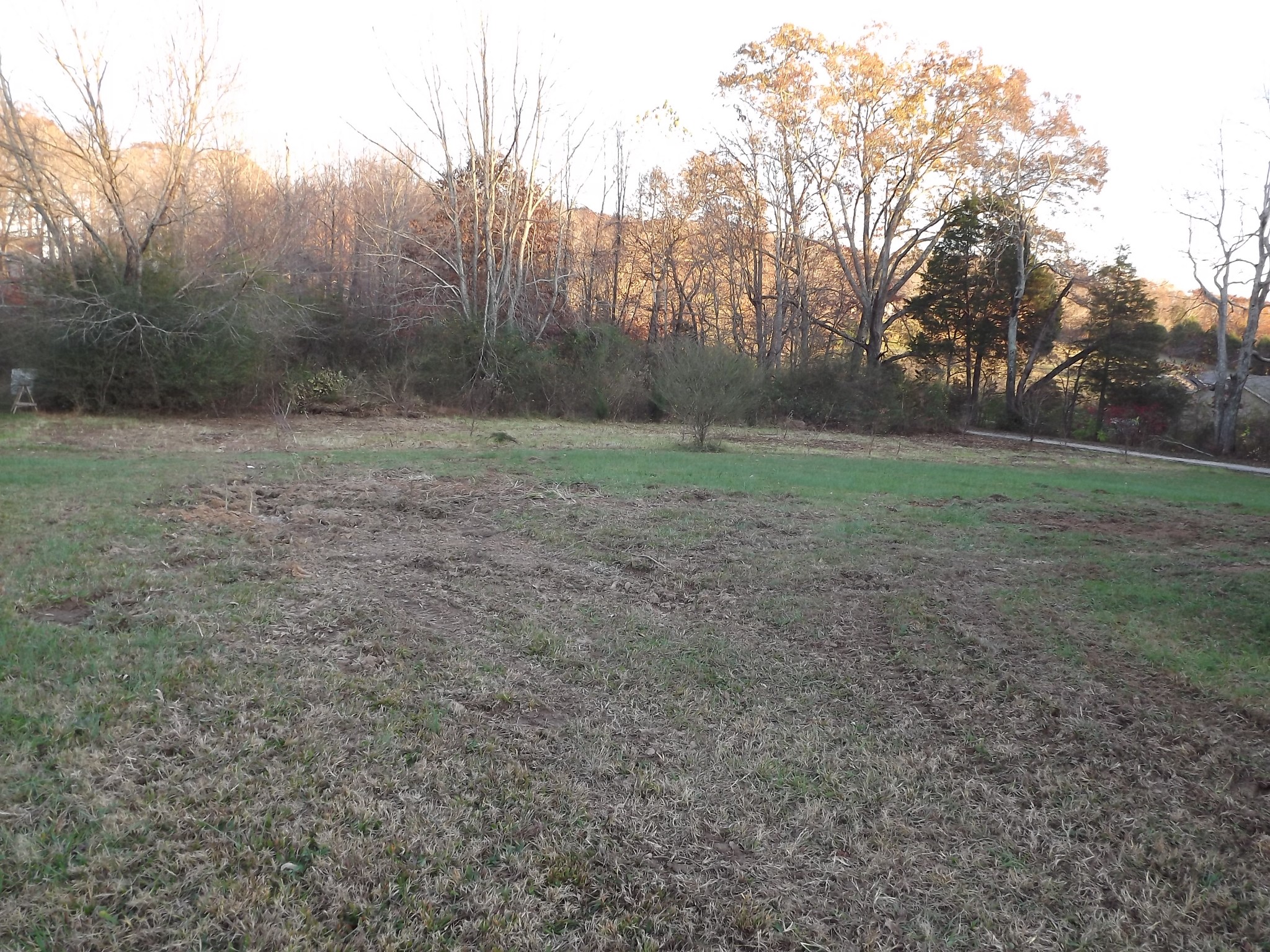 1041 Hogan Road Burns, TN 37029 - Photo 10 of 34 Gallery Image 10