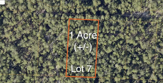 a picture of street with a tree