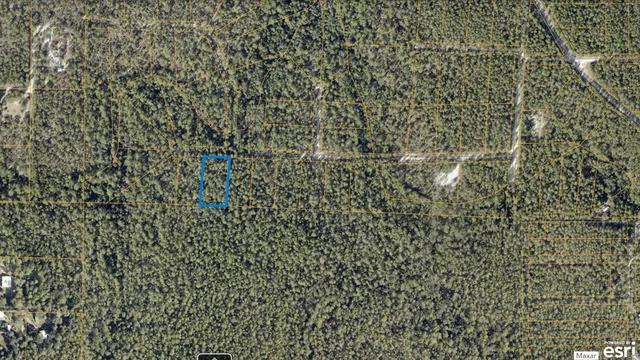 a bathroom with a shower curtain