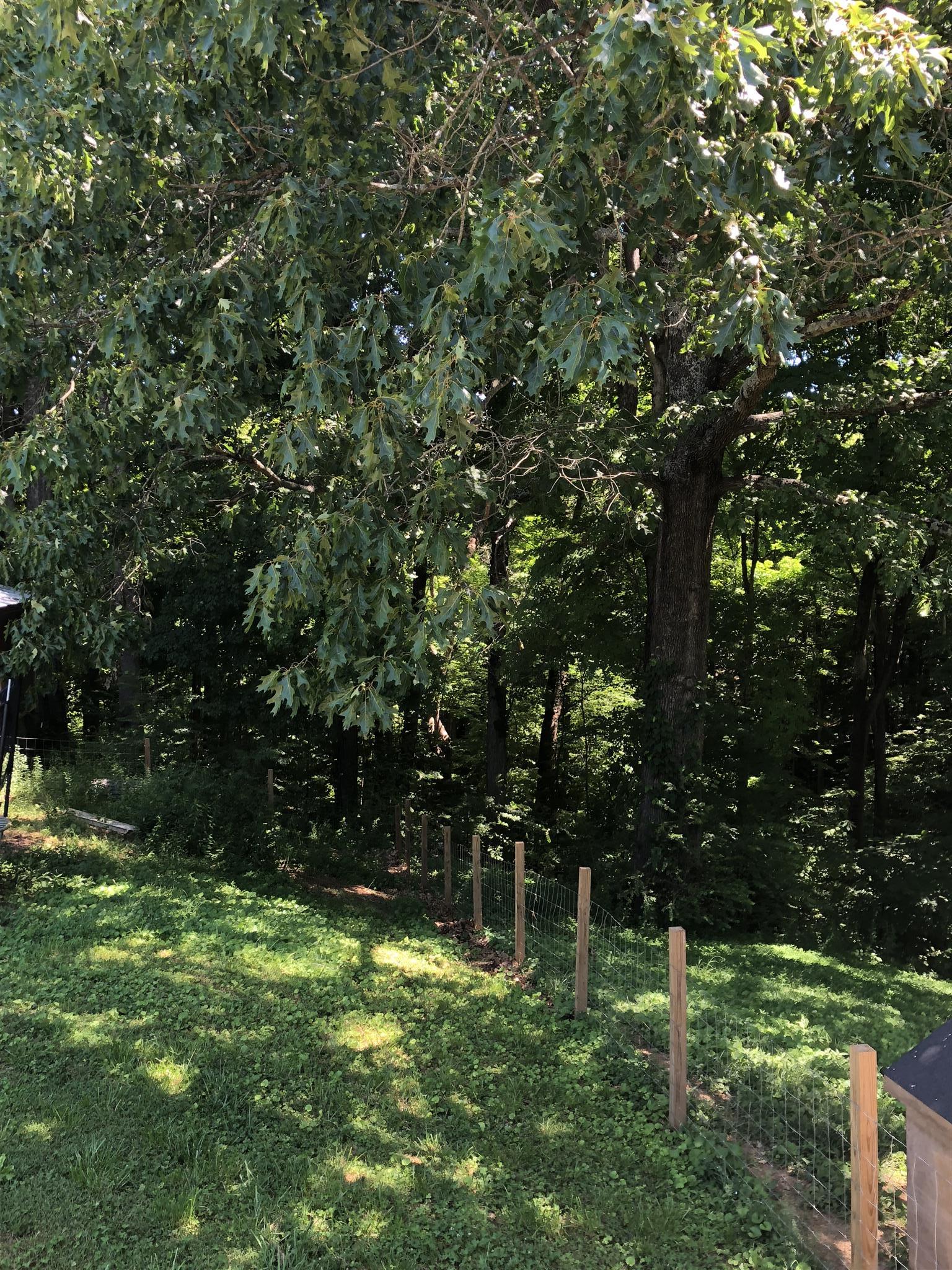 1087 Jackson Heights Road Goodlettsville, TN 37072 - Photo 23 of 23 a backyard of a house with lots of green space and fountain
