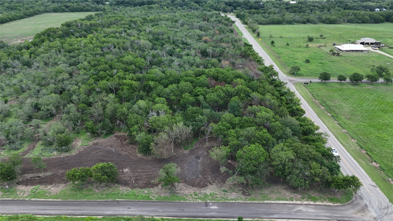 Lot 1-tbd Lot 1-tbd Tatum Road Martindale, TX 78655 - Photo 12 of 24 a view of a forest with a street