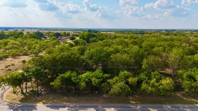 a view of a bunch of trees