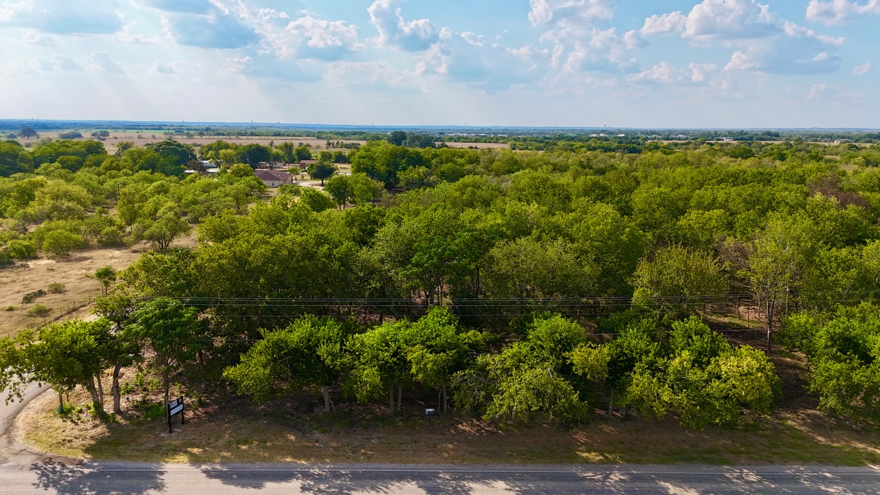 Lot 1-tbd Lot 1-tbd Tatum Road Martindale, TX 78655 - Photo 20 of 24 a view of a bunch of trees