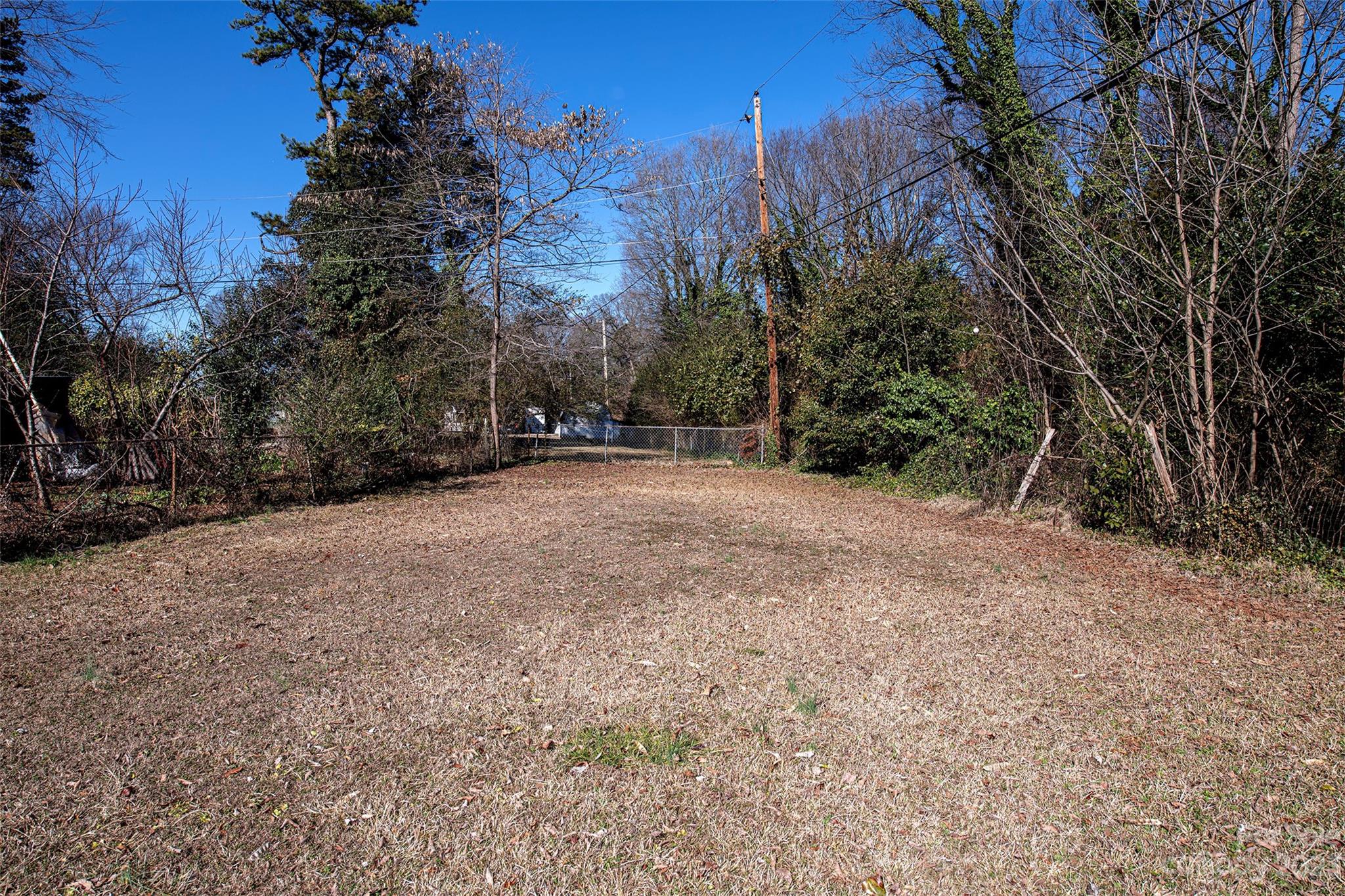 5116 Grapevine Drive Charlotte, NC 28217 - Photo 9 of 14 a view of a forest with trees