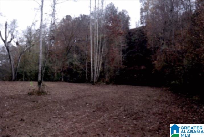 0 County Road 2, Unit 1 Heflin, AL 36264 - Photo 5 of 8